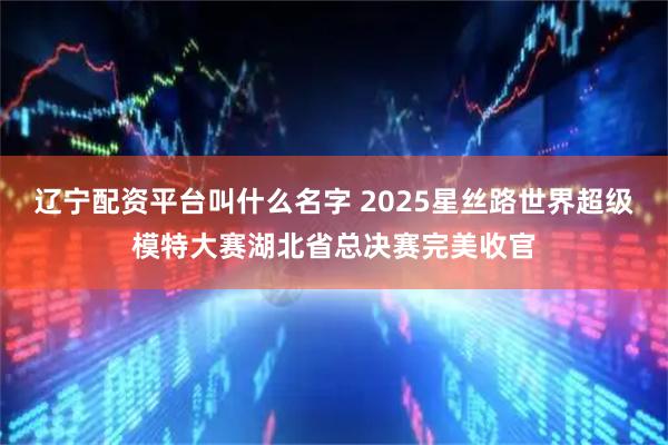 辽宁配资平台叫什么名字 2025星丝路世界超级模特大赛湖北省总决赛完美收官