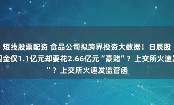 短线股票配资 食品公司拟跨界投资大数据！日辰股份账面现金仅1.1亿元却要花2.66亿元“豪赌”？上交所火速发监管函